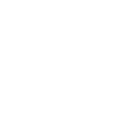g_3